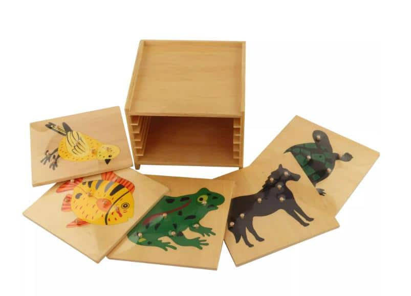 Cabinet 5 puzzles animaux Montessori (cheval, poisson, tortue, oiseau, grenouille) - Langage, Matériel Montessori, Science, Zoologie