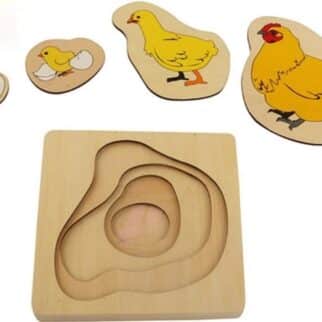 Puzzle cycle de la poule - Matériel Montessori, Zoologie