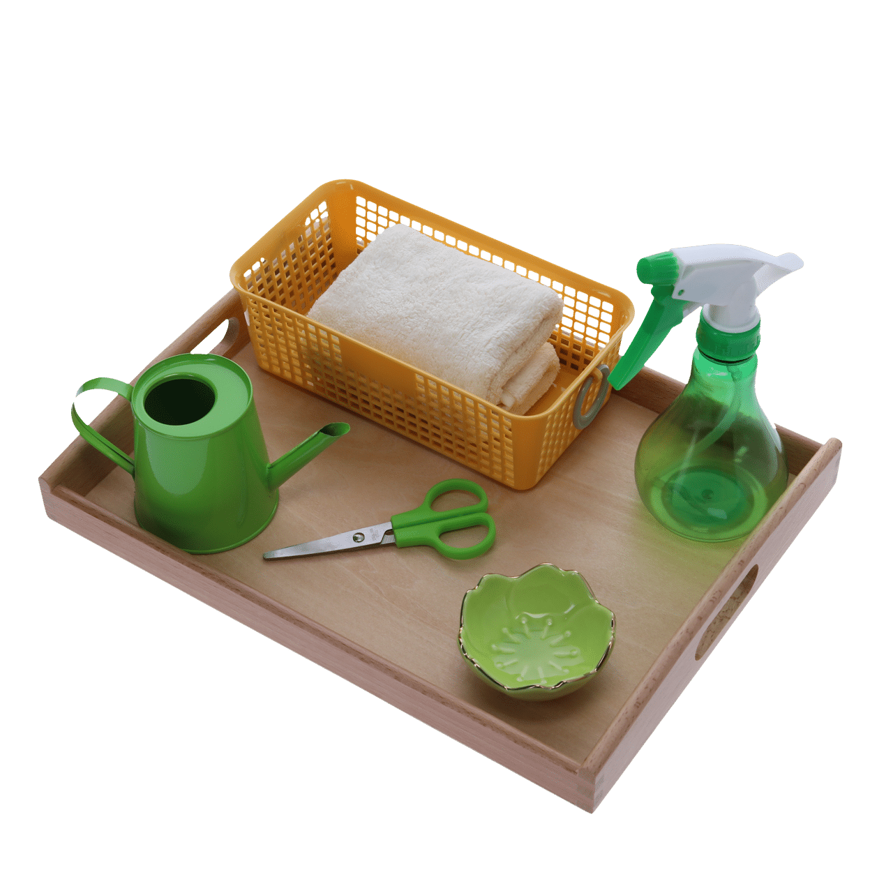 Plateau prendre soin d'une plante